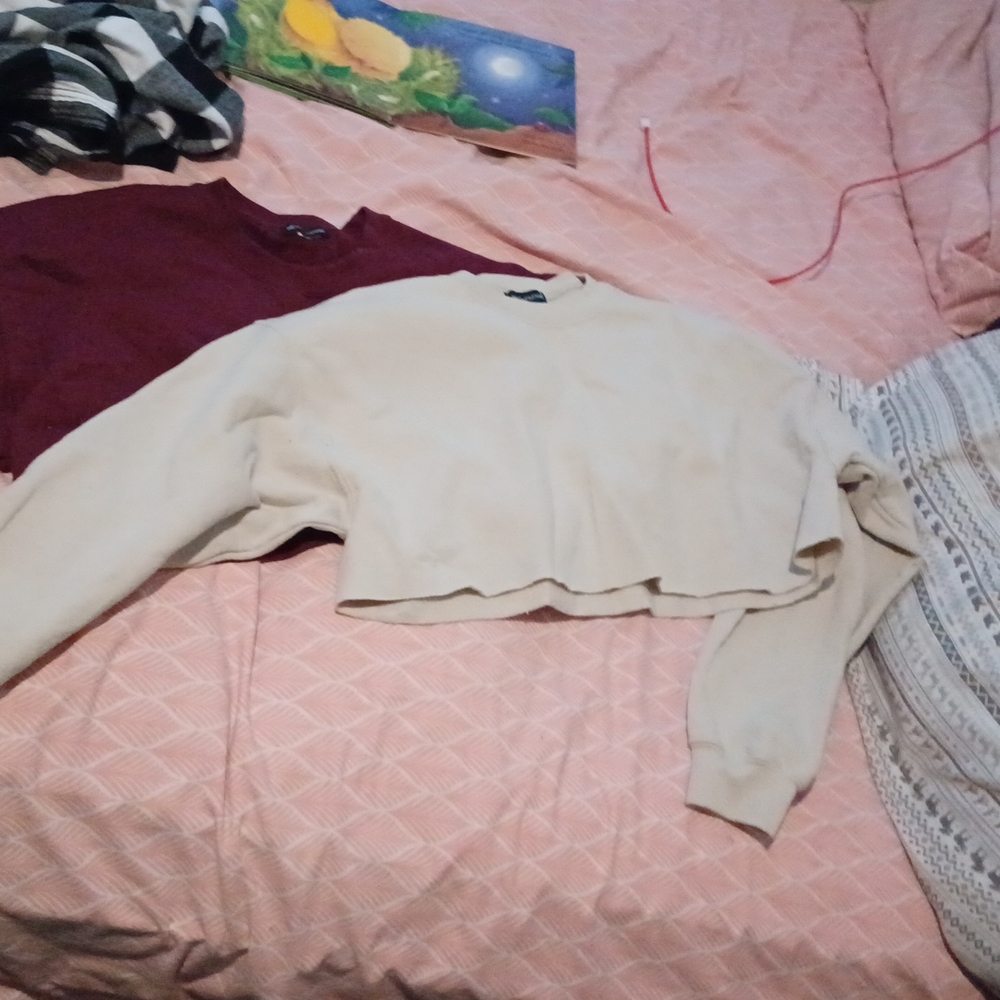 2 long sleeve Cropped Pretty Little Thing sweaters